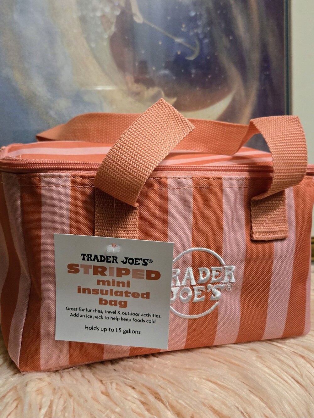 Trader Joe's Striped Mini Insulated Bag - Coral Pink NWT